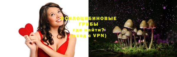 ГАЛЛЮЦИНОГЕННЫЕ ГРИБЫ Нефтекумск