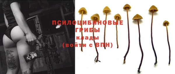 ГАЛЛЮЦИНОГЕННЫЕ ГРИБЫ Нефтекумск