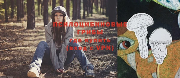 ешки Нефтегорск