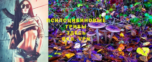 ешки Нефтегорск