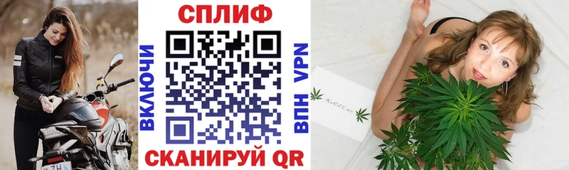 Бошки Шишки THC 21%  Шадринск 